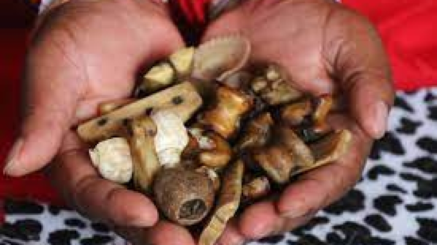 traditional healer