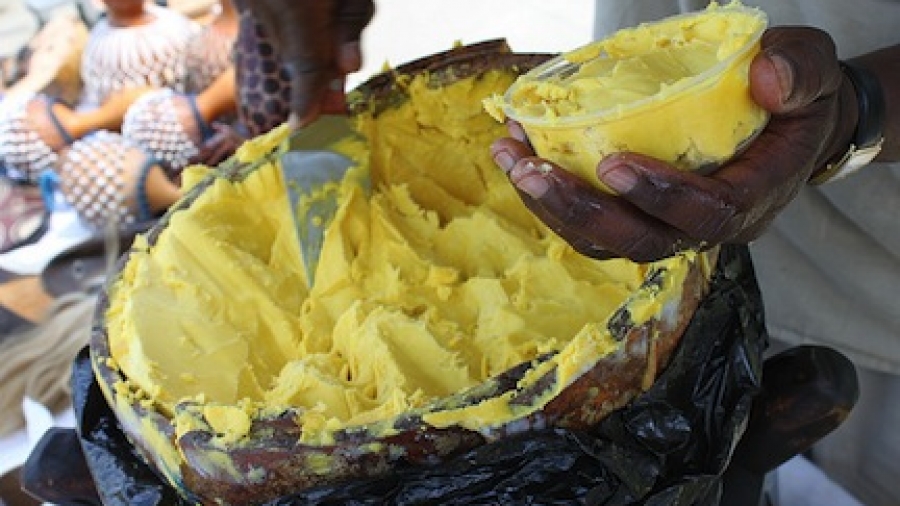 african herbs for skin