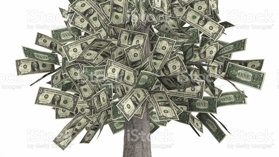 money tree