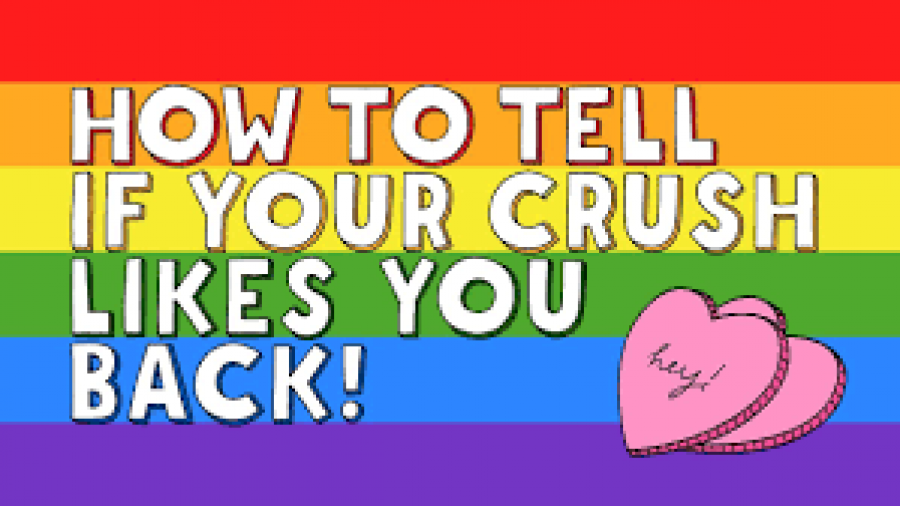 Does your crush like you back