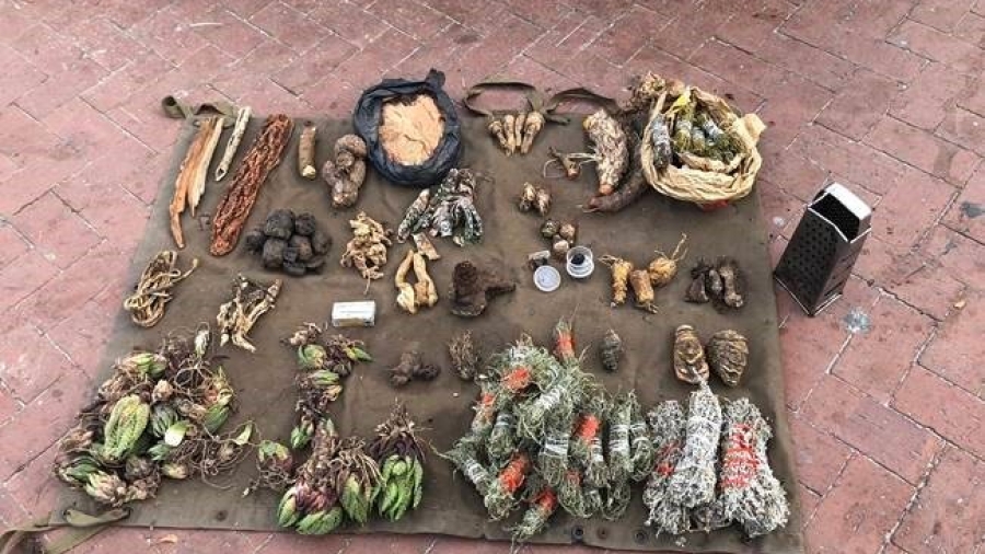 Traditional healers of Southern Africa