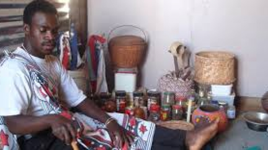 What is a traditional healer